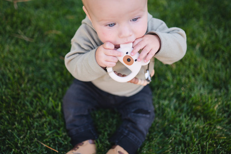 Other Teethers